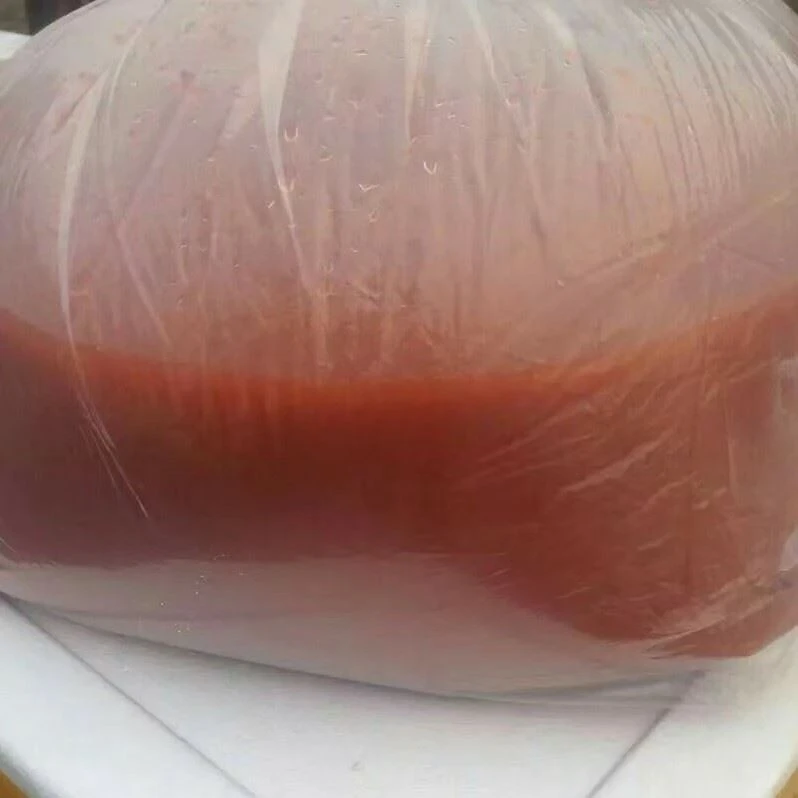 Live rotifer feed