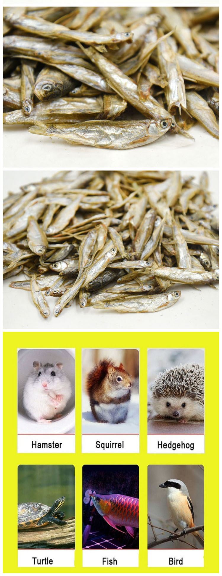 dried river fish for turtles