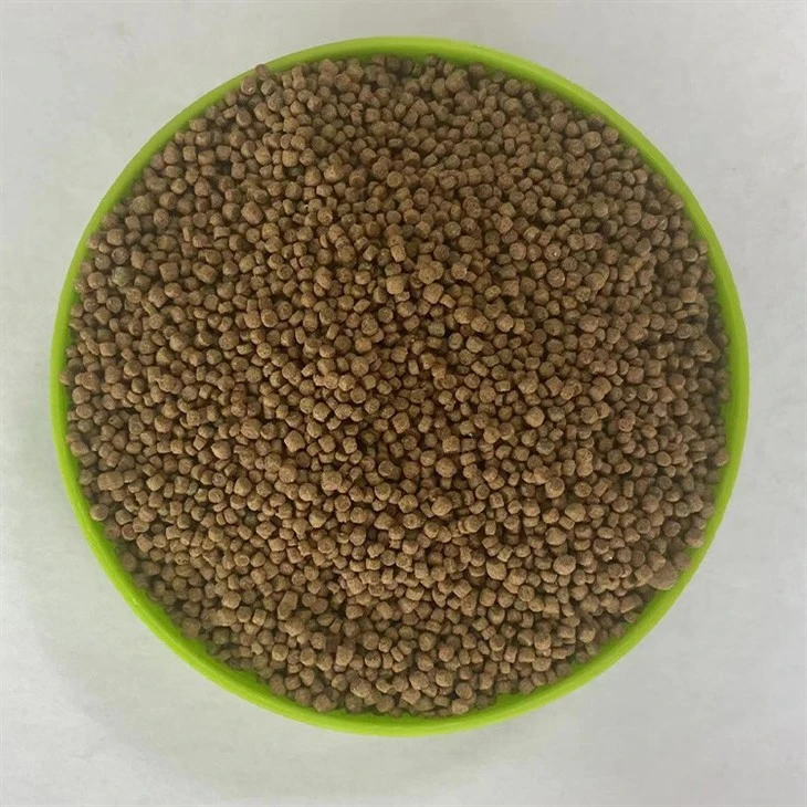 Thrush Bird food Thrush Bird food