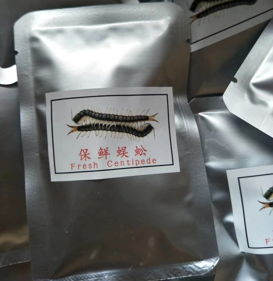Makanan Ikan Centipede Segar