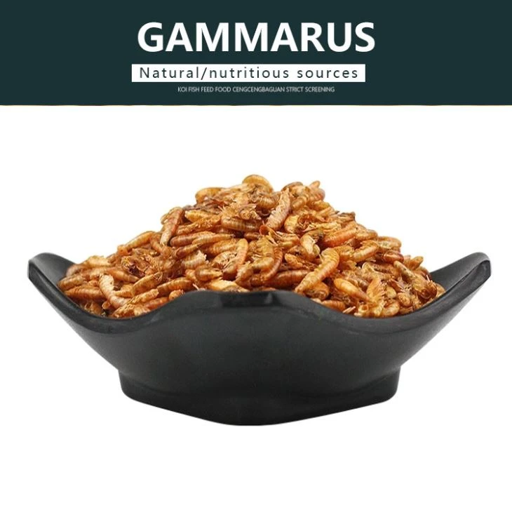 Sun Dried Gammarus