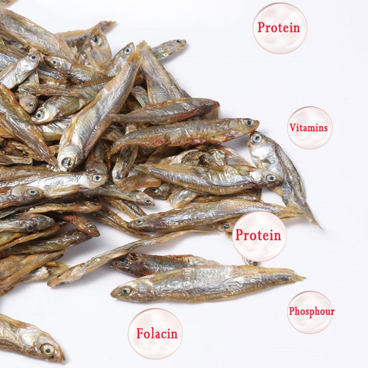 Ikan Sungai Kering