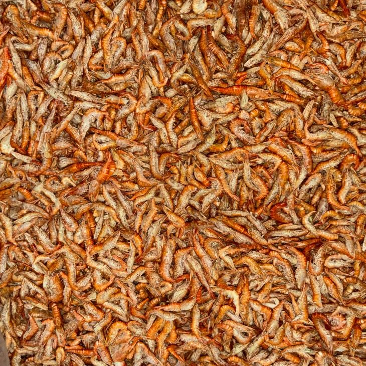 Dried Gammarus