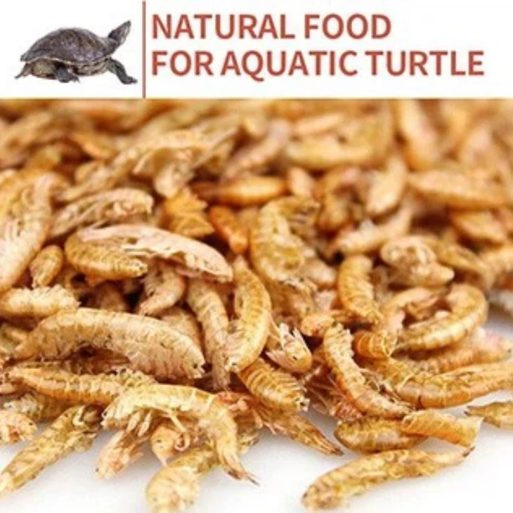 natural Dried Gammarus Shrimp