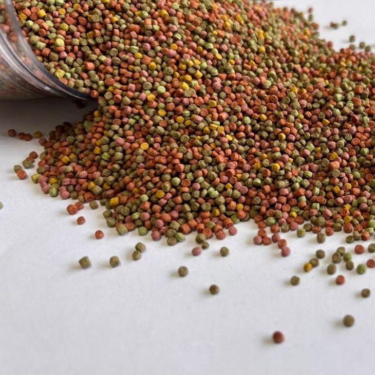Parrot bird food Parrot bird food